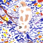 生徒作品 L.コミューン アート＆イラストレーション ラボラトリー