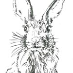 生徒作品 L.コミューン アート＆イラストレーション ラボラトリー