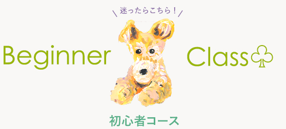初心者コース